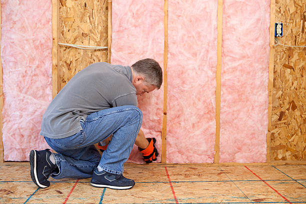 Best Best Insulation Companies  in Grandview, IL