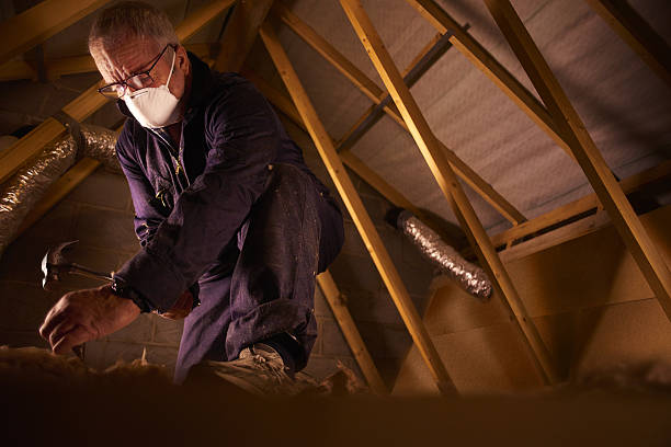 Best Blown-in Insulation  in Grandview, IL