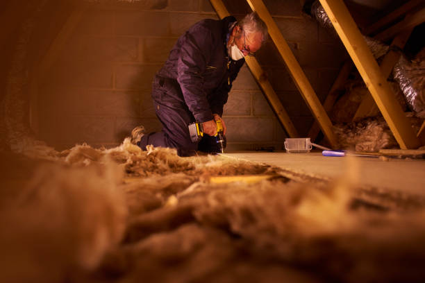 Best Fiberglass Insulation  in Grandview, IL