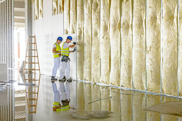 Best Residential Insulation Services  in Grandview, IL